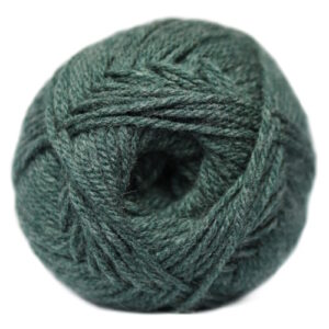 Cilantro – Charity DK